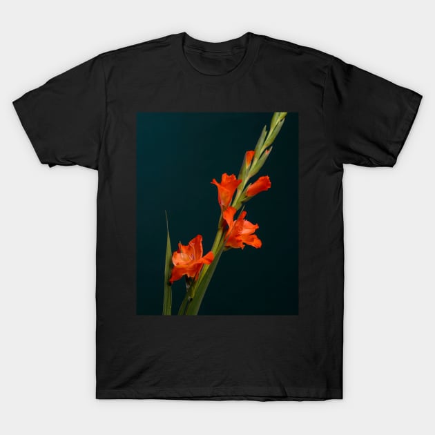 Orange Gladiolus T-Shirt by Thomas G. Bugarin